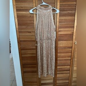 Sequin Champlain color dress